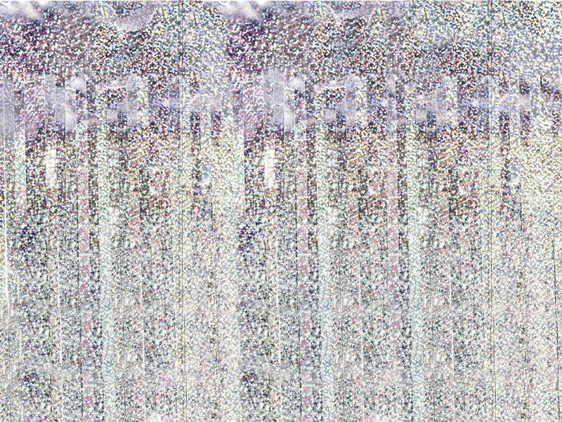 Holografisk Glimmerforhæng - 100 x 200 cm